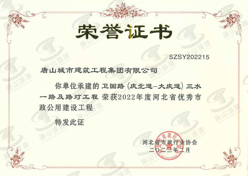 2022卫国路（庆北道-大庆道）三水一路及路灯工程